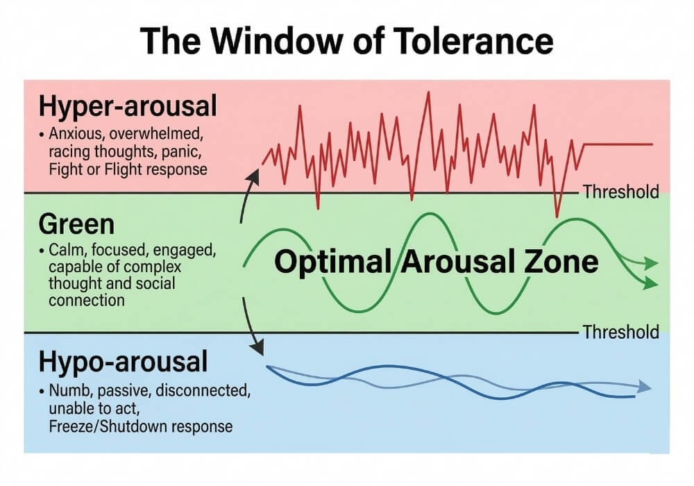 the four pillars necessary for building emotional resilience.